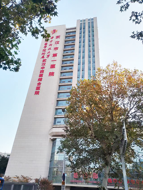 2-武漢市第一醫(yī)院.png 2-武漢市第一醫(yī)院.png